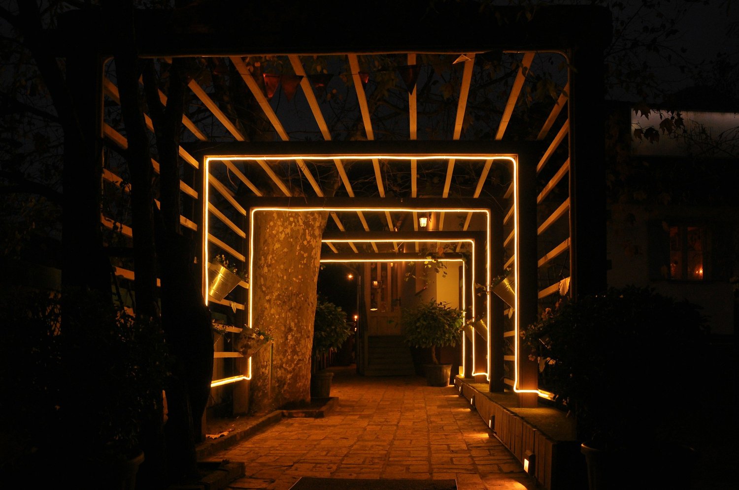 Garden Feature Lighting by Luxe Electrical Industries