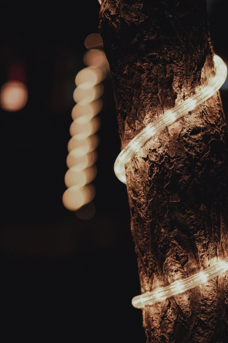 Pathway lighting winding through landscaping